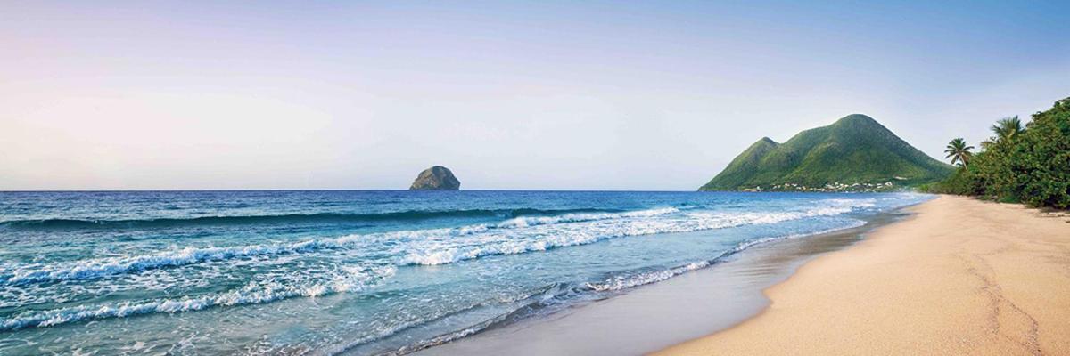 Le Marin - Bungalow Classe 3 Etoiles Tb Equipe & Confortable - Escapade En Couple - Paisible & En Toute Discretion - Wi-Fi - Climatisation - Calme & Serenite - Plages Du Sud, Centre De Carenage & Marina Du Marin Proche En Voiture - Acheminement Sur D Eksteriør bilde